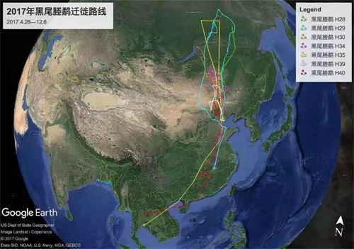 香港全年最全免费资料大全